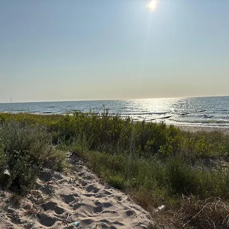 W Dabkach Gerendaház *