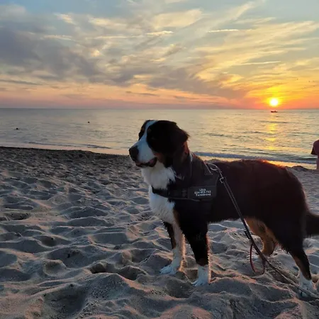 Gerendaház W Dabkach