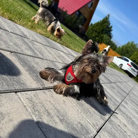 W Dabkach Gerendaház