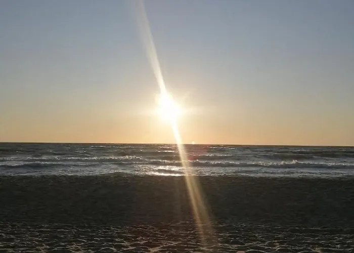 Lodge W Dabkach Dąbki